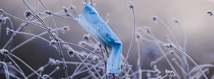 Rouška v zimní přírodě Foto: Pierre Borthiry Unsplash