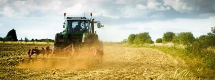 Traktor na poli Foto: antb / Shutterstock