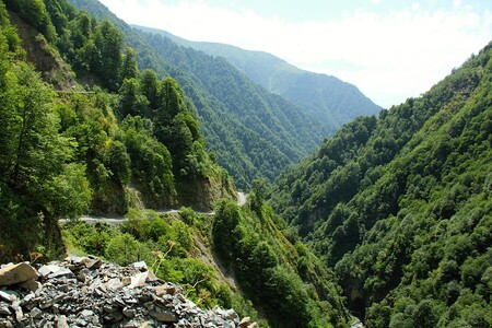 Druhově bohaté smíšené lesy na cestě z nížin Kachetie k Tušsku nejsou nijak chráněné. Ve střední Evropě by byly nepochybně národním parkem.
