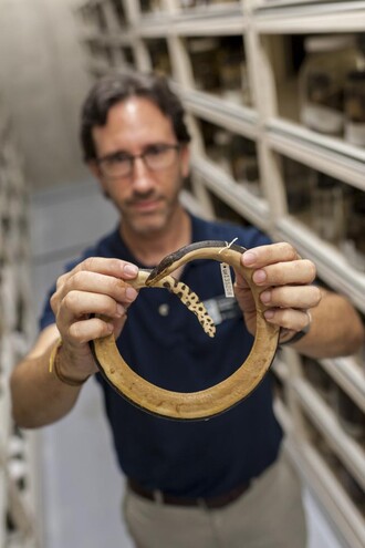 Coleman Sheehy z Floridského muzea přírodní historie drží v ruce mořského hada, nalezeného u pobřeží Kolumbie.