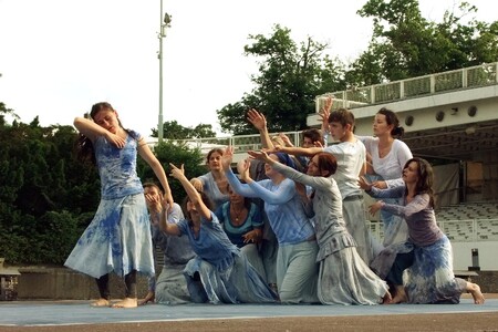 V Praze Tanec pro vodu organizuje studio DanceLab v čele s tanečnicí, choreografkou a pohybovou terapeutkou Renou Milgrom. Na ilustračním snímku tanec české skupiny v roce 2015.