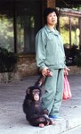 šimpanzí mládě a žena