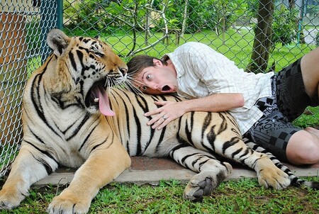 Skvělé, jak jsou dneska ti tygři klidní!