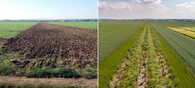 pozemkové úpravy - před a po