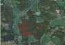 Mapa vykáceného území na Ptačím potoce. Červeně jsou vyznačené vzniklé holiny, šrafovaně první zóny národního parku.
