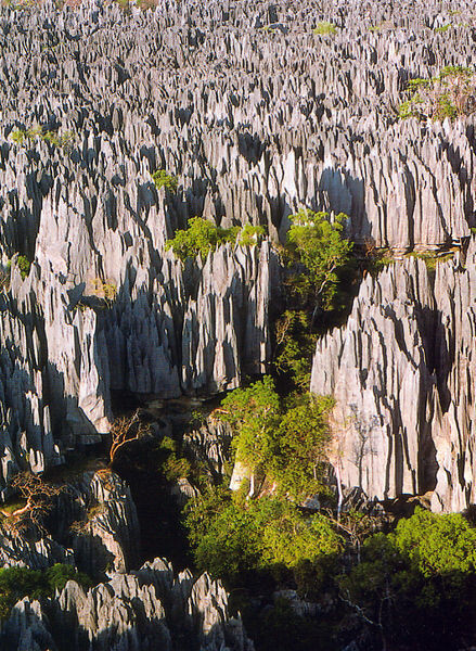 Národní park „Tsingy“na Madagaskaru. Ilustrační obrázek.