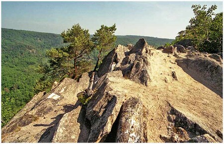 Vyhlídková skála Sealsfieldův kámen v NP Podyjí.