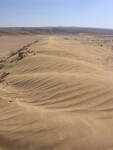 Písečná duna. Izrael.