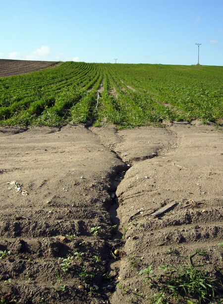 Podle údajů ministerstva zemědělství je vodní erozí v ČR ohroženo až 60 procent zemědělské půdy, v ohrožených až nejohroženějších kategoriích je přibližně 35 procent území.