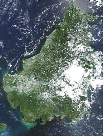 Satelitní snímek ostrova Borneo (indonésky Kalimantan), místa mnoha endemických a vzácných druhů rostlin a živočichů.