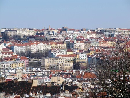Praha se letos v lednu připojila k projektu Mayors Adapt, který spojuje evropská města, která se snaží přizpůsobit klimatickým změnám