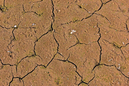Na květnové mezinárodní výstavě VODOVODY-KANALIZACE upozornil Miroslav Trnka (z Ústavu výzkumu globálních změn při Akademii věd ČR) na to, že období sucha budou trvat déle a také povodně mohou být extrémnější. / ilustrační foto