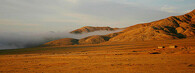 Mlha na poušti Atacama