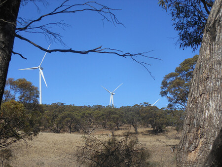 Rozsáhlý výpadek proudu vyvolal v Austrálii debatu o rozsahu využívání obnovitelných zdrojů. Stát Jižní Austrálie je totiž v tomto směru výjimečný, protože obnovitelné zdroje, zejména větrné elektrárny, v něm vytvářejí 40 procent veškeré elektřiny. Podle vyjádření některých expertů mohl silný vítr způsobit přetížení přenosové soustavy