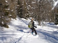 Skialpinistka v lese