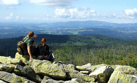 NP Bavorský les je magnetem pro návštěvníky a zásadním faktorem pro kvalitu rekreace a zážitků v regionu. 96 % návštěvníků je podle průzkumu s Národním parkem jako rekreační oblastí spokojeno nebo velmi spokojeno