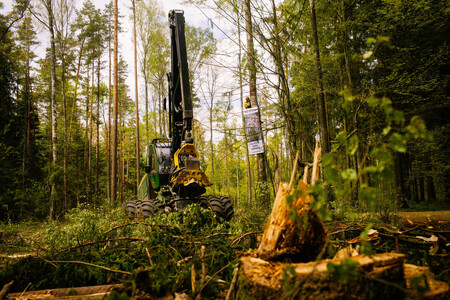 Polská vláda nehodlá zastavit masivní kácení v chráněném Bělověžském pralese, přestože jí to nařídil Soudní dvůr Evropské unie. Ilustrační snímek harvestoru v Bělověžském pralese.