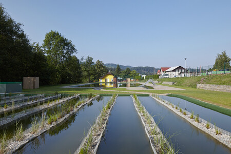 Město ho hodlá přeměnit na biotopovou plovárnu. Na ilustračním snímku biotopové koupaliště Prostřední Bečva.