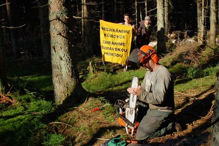 "Když vykácíme napadané stromy z devadesáti procent, tak jsme pro tu Šumavu neudělali skoro nic,“ říká Jan Stráský