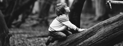 Chlapec v lese Foto: pixabay