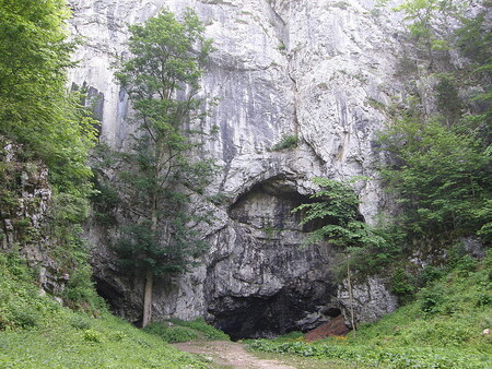 Býčí skála leží ve střední části Moravského krasu mezi Adamovem a Křtinami. Podle vědců sloužila její přední část v době železné jako rituální obětiště. Badatel Jindřich Wankel našel na tomto místě koncem 19. století ostatky 40 lidí a mnoho vzácných předmětů.