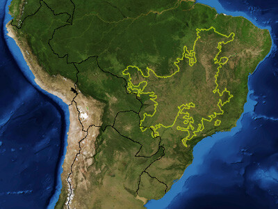 Navzdory své obrovské biologické rozmanitosti a rozloze patří brazilské Cerrado k nejméně chráněným oblastem v Brazílii