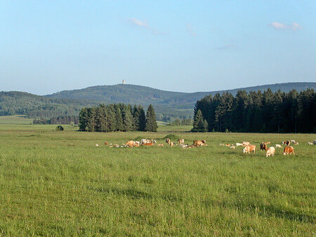 Na druhou stranu v posledních letech v Česku přibývá ekologicky hospodařících zemědělců