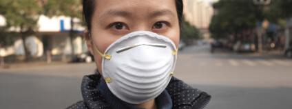 Smog Foto: Gang Liu / Shutterstock