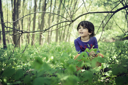 Lesní mateřské školky nebo kluby využívají rodiny, které si přejí, aby jejich děti trávily co nejvíce času venku