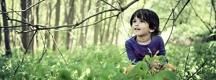 Dítě v lese Foto: Philippe Put / Flickr