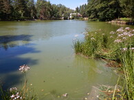 Rybník Dlouhý