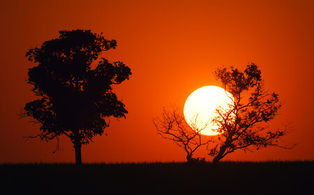 Když slunce žhne, lidé berou hrozbu klimatických změn vážněji. (Ilustrační foto.)