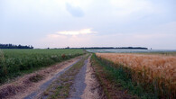 zemědělská pole