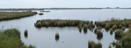 Delta řeky Ebro Foto: vali.lung / Shutterstock.com