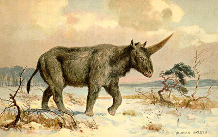 A soudě podle nového nálezu se lidé museli nejméně šest tisíc let potkávat s ohromným nosorožcem, kterého tu zapomněl čas.
