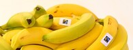 Faitrade banány