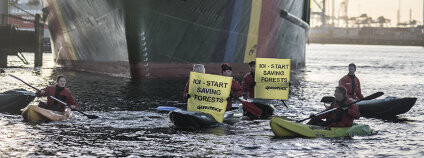 Greenpeace blokuje loď s palmovým olejem Foto: Greenpeace