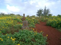Hřbitov na Havaji