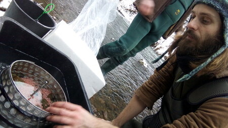 Jiří Křesina připravuje inkubační schránku s jikrami lososů obecných na umístění do říčního dna.