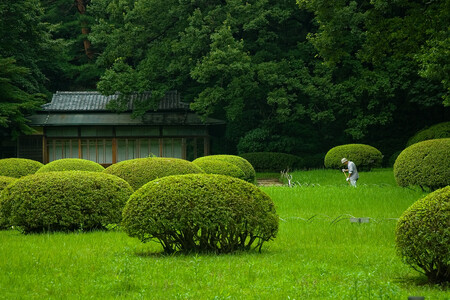První japonská zahrada v zahraničí vznikla v roce 1873 pro světovou výstavu Expo ve Vídni, odkud se zájem o tento typ zahrad rozšířil dál do světa. Ilustrační snímek.