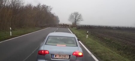Skoro nekonečný proud vytvořily stovky jelenů, přebíhajících přes silnici poblíž maďarské obce Udvar u chorvatských hranic přímo před autem.