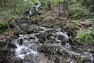 Dlouhý potok, stékající do Jizerského dolu v Krkonošském národním parku