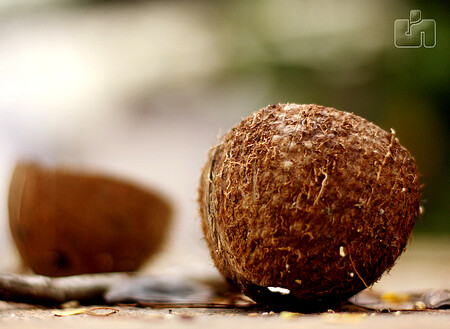 Kokosové ořechy provázejí lidstvo od nepaměti.