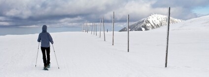Krkonoše v zimě Foto: Premysl / Shutterstock