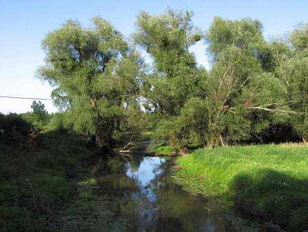 K tokům nejvíce znečištěným fosforem patří například Kyjovka u Kyjova a Haná u Vyškova K tokům nejvíce znečištěným fosforem patří například Kyjovka u Kyjova a Haná u Vyškova