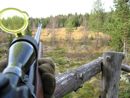 Letošní lovecká sezóna v pěti krajích centrálního Švédska potrvá do poloviny února. Ilustrační snímek.