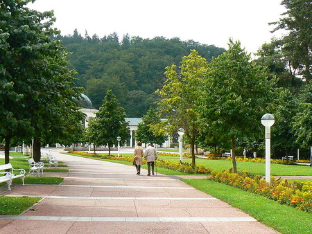 Většina vzácných stromů, které mnohdy pocházejí z celého světa, se nachází v parku pod kolonádou a v blízkém okolí historického centra města. Některé zase zasadili vzácní hosté lázeňského města, včetně například Františka Josefa I.