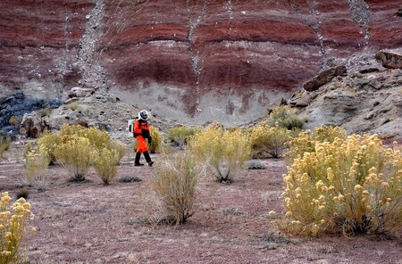 Velitel 143 expedice Paul Knightly prochází ve vesmírném obleku mezi porosty pouštní květeny.