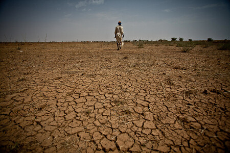 Zimbabwe čelí jednomu z nejhorších období sucha v dějinách. (Snímek je ilustrační, zobrazuje sucho v roce 2012 v Mauretánii).