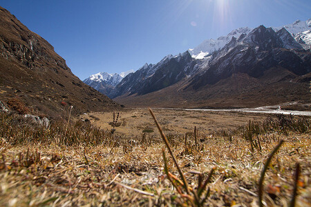 V oblasti pohoří Himálaje se vyskytuje na 15 000 ledovců.
